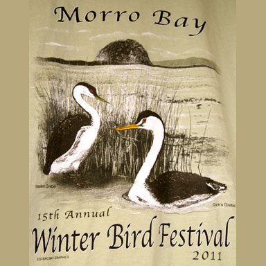 2011 Morro Bay Bird Festival
